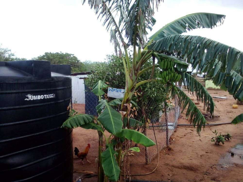 Aanplanting bomen